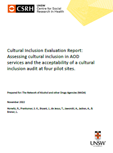 Cultural inclusion evaluation report